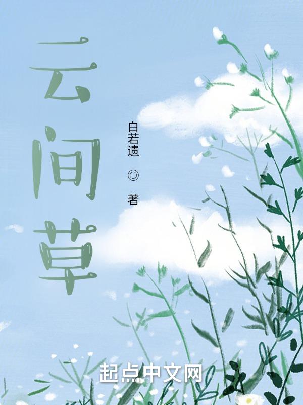云间焰火小说